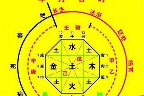 乙卯月 五行|生辰八字算命、五行喜用神查询（免费测算）